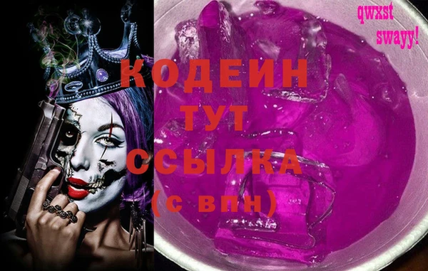 спиды Бородино
