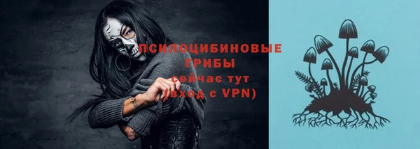 спиды Бородино