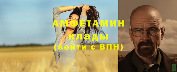 спиды Бородино