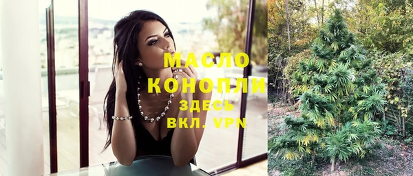 спиды Бородино