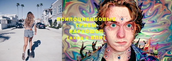 спиды Бородино