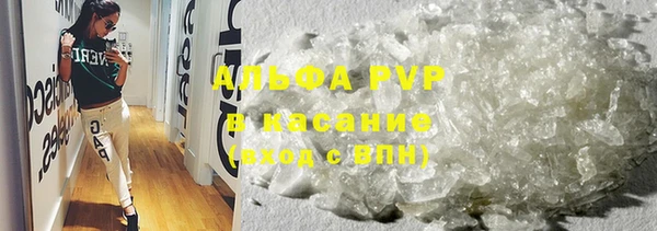 спиды Бородино