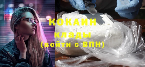 спиды Бородино