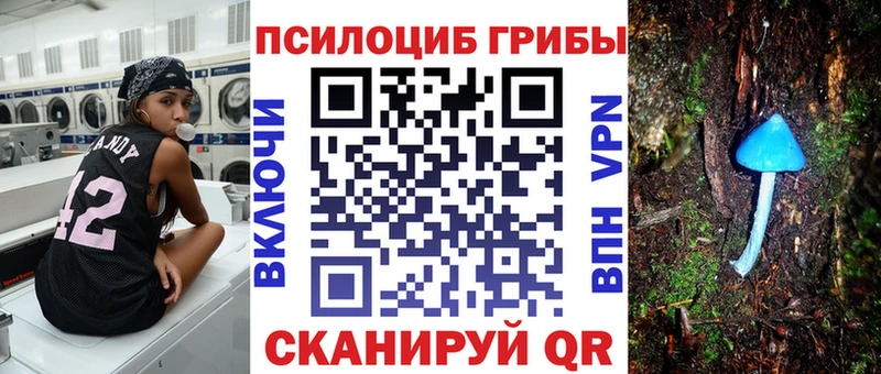 Псилоцибиновые грибы Psilocybe  это наркотические препараты  Ангарск  KRAKEN вход 